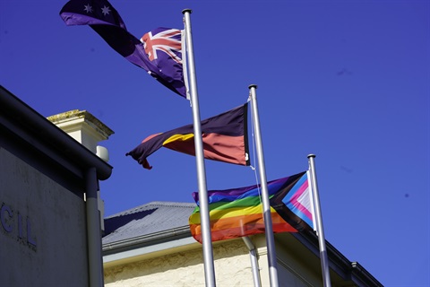 PFO flags.JPG
