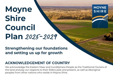 Council plan web tile.jpg