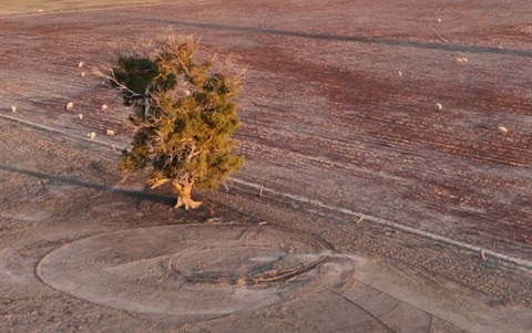 Dry farm web.jpg