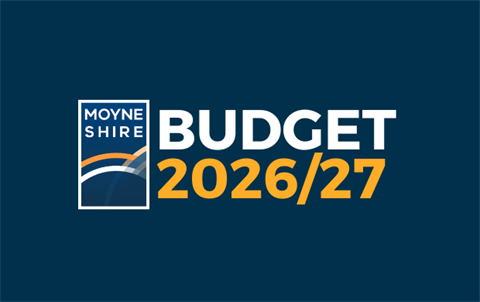Budget Project Image (310 x 195 px).png