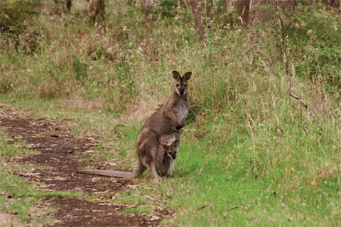 Enviro Strategy 600x400.png