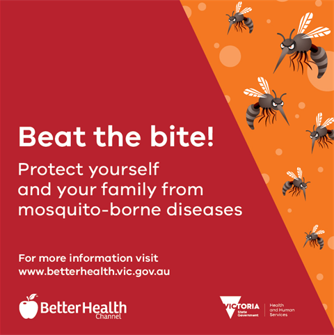 mozzies.png