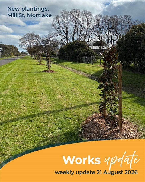 New plantings along Mill Street, Mortlake