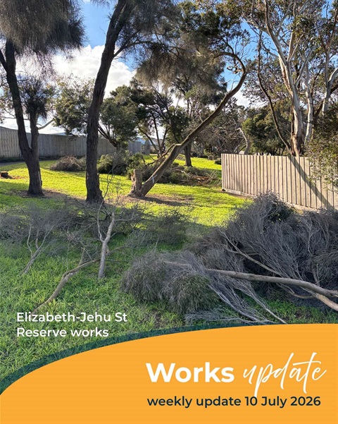 Trees being trimmed and removed from Elizabeth-Jehu Street Reserve, Port Fairy