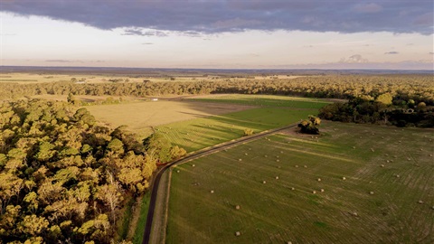 Agricultural-land-in-Macarthur.jpg